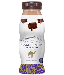 Верблюжье молоко - вкус шоколада